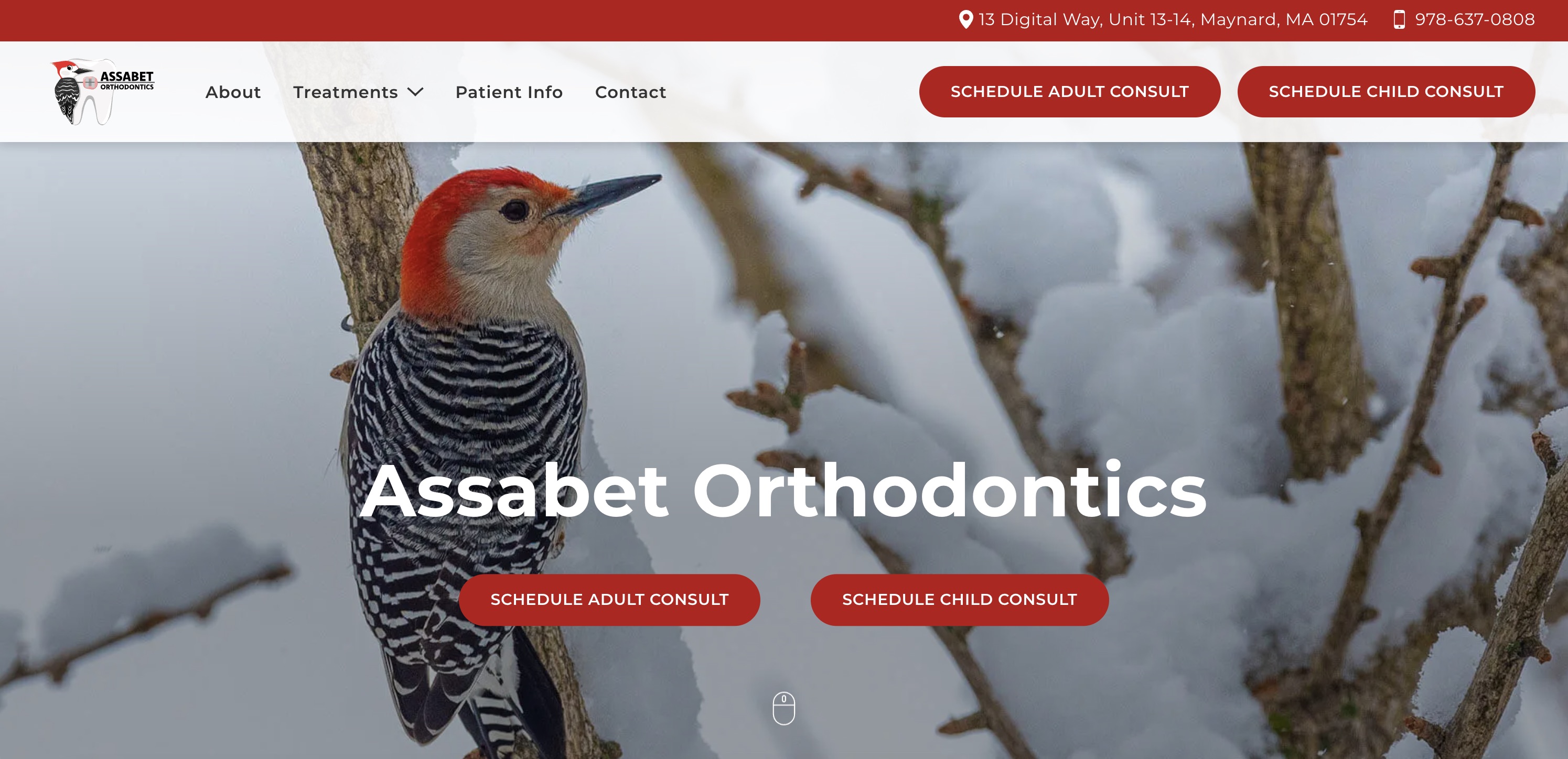 Assabet Orthodontics website (opens in a new tab)